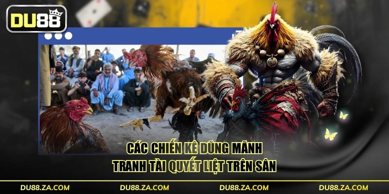 Các chiến kê dũng mãnh tranh tài quyết liệt trên sân