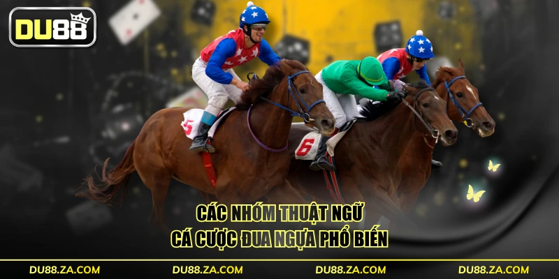 Các nhóm thuật ngữ cá cược đua ngựa phổ biến