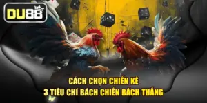 Cách Chọn Chiến Kê - 3 Tiêu Chí Bách Chiến Bách Thắng
