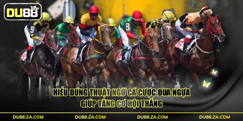 Hiểu đúng thuật ngữ cá cược đua ngựa giúp tăng cơ hội thắng