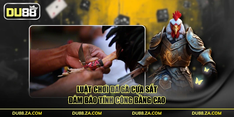 Luật chơi đá gà cựa sắt đảm bảo tính công bằng cao