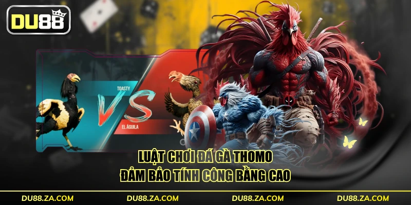 Luật chơi đá gà Thomo đảm bảo tính công bằng cao